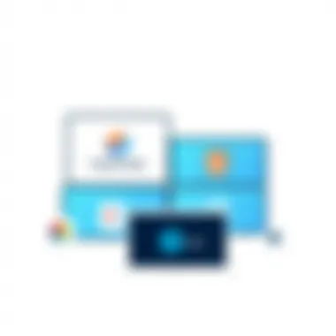 A comparison of logo design software interfaces