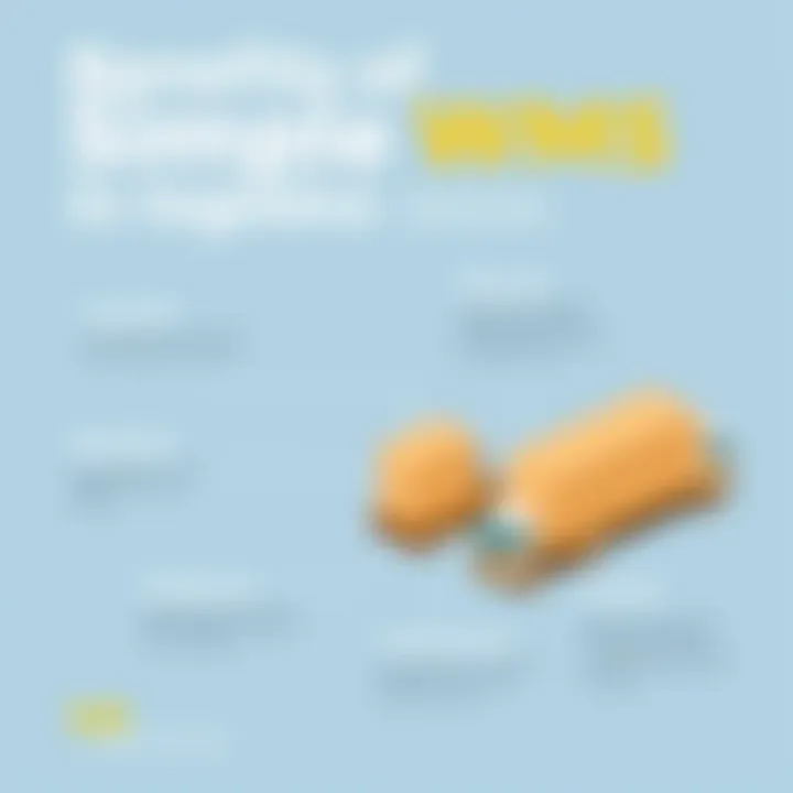 Benefits of Simple WMS in Logistics Chart demonstrating the benefits of implementing simple WMS in logistics