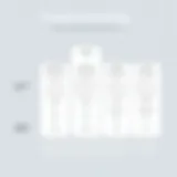 Detailed Breakdown of Zendesk Pricing Models Overview of Zendesk pricing tiers