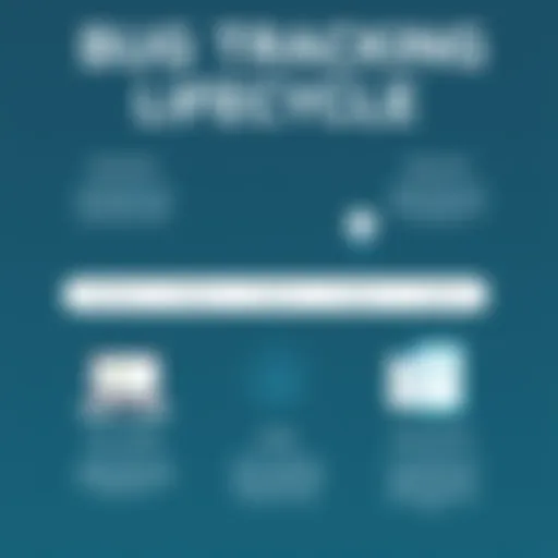 An infographic illustrating the bug tracking lifecycle from identification to resolution