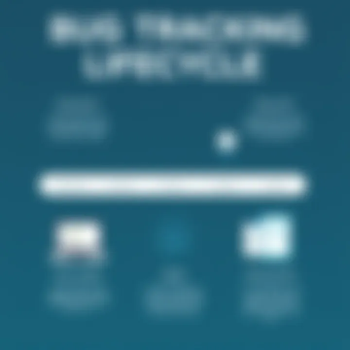 An infographic illustrating the bug tracking lifecycle from identification to resolution