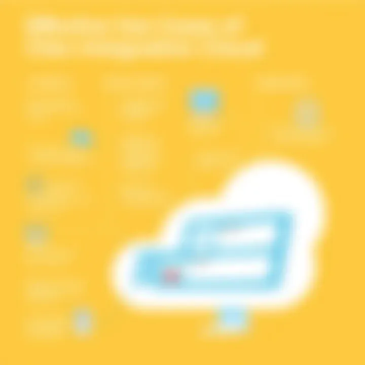 Use cases demonstrating the effectiveness of Cleo Integration Cloud