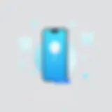 Duo Mobile User Interface Duo Mobile application interface showcasing multi-factor authentication