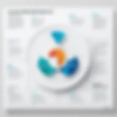 Chart showing advantages and challenges of the software
