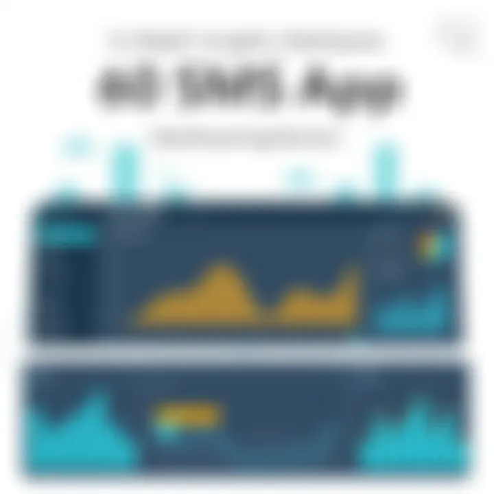 Dashboard Overview of 360 SMS App Visual representation of the 360 SMS app's dashboard