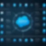 Visual representation of Salesforce Community User Licenses types