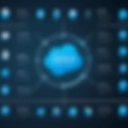 Visual representation of Salesforce Community User Licenses types