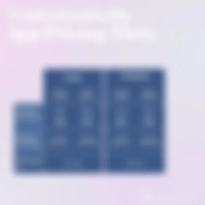 Understanding MyHours App Pricing Tiers Pricing tiers for MyHours app explained in a graphic format