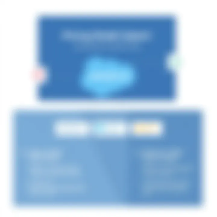 Pricing Models Explained Overview of Salesforce Customer Portal pricing models