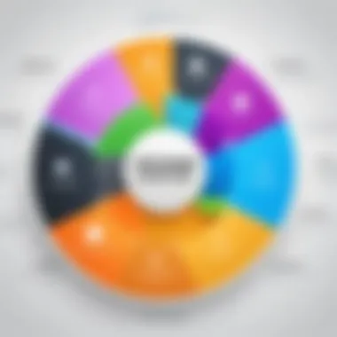 Visualization of software product lifecycle phases